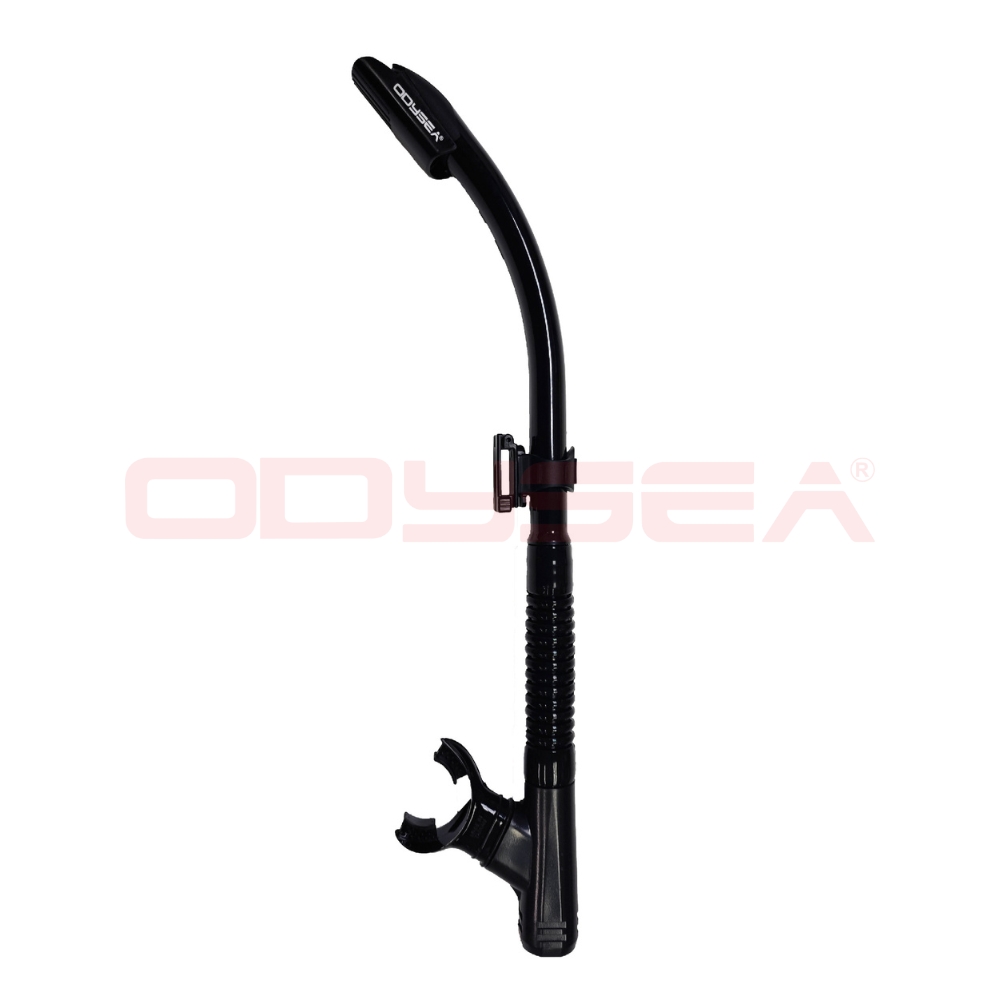 mybizcart_2023-03-15536